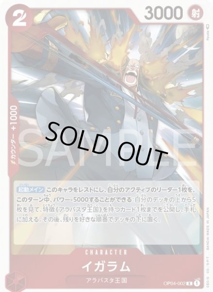 画像1: 《イガラム》 (1)