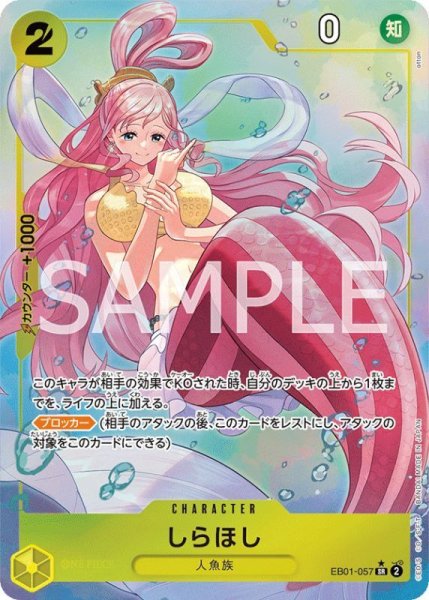 画像1: 《しらほし》 (1)