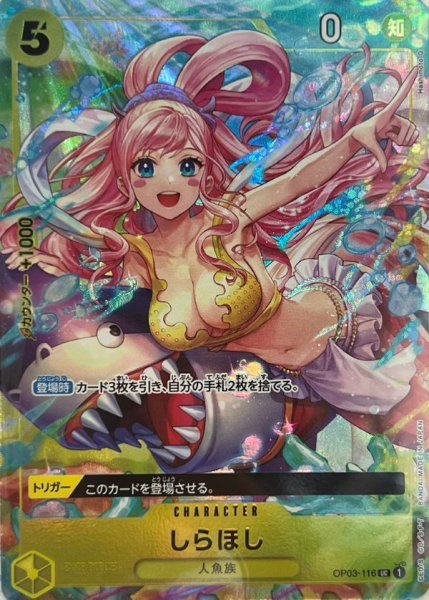 画像1: 《しらほし 》 (1)