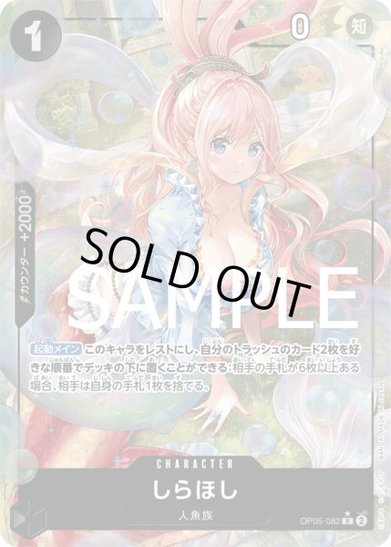 画像1: 《しらほし》 (1)