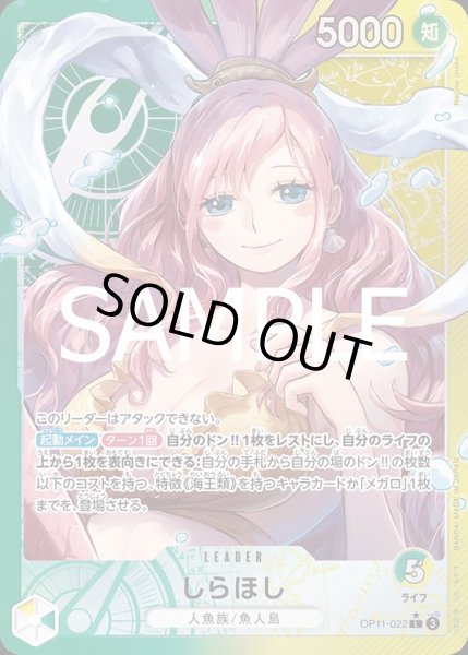 画像1: 《しらほし》 (1)