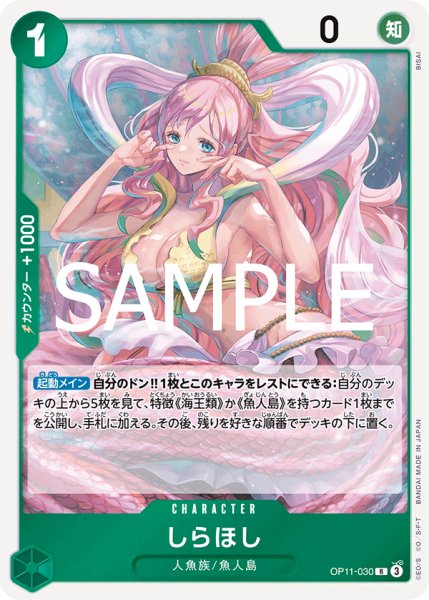 画像1: 《しらほし》 (1)
