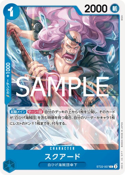 画像1: 《スクアード》 (1)