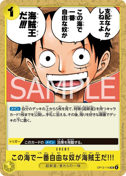 画像1: 《この海で一番自由な奴が海賊王だ!!!》 (1)