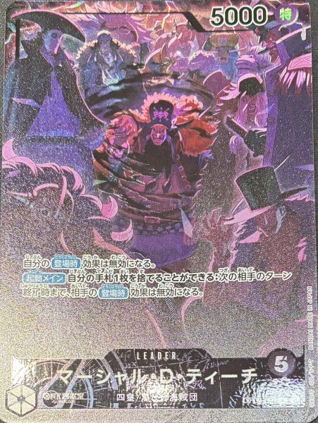 画像1: 《マーシャル・Ｄ・ティーチ》(リーダー) (1)