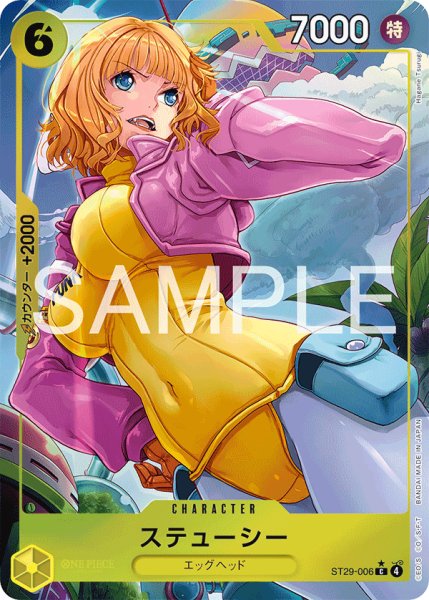 画像1: 【パラレル】《ステューシー》 (1)