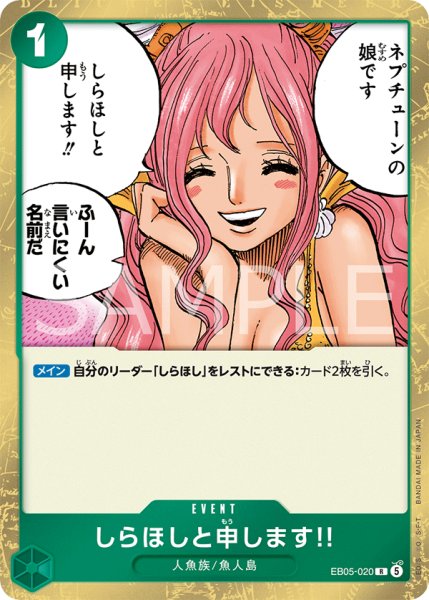 画像1: 《しらほしと申します!!》 (1)